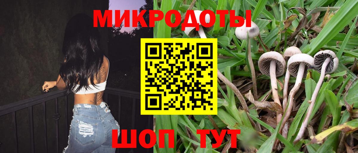 Псилоцибиновые грибы Psilocybine cubensis  купить наркоту  Белая Калитва  Вход с VPN  Галлюциногенные грибы GOLDEN TEACHER 