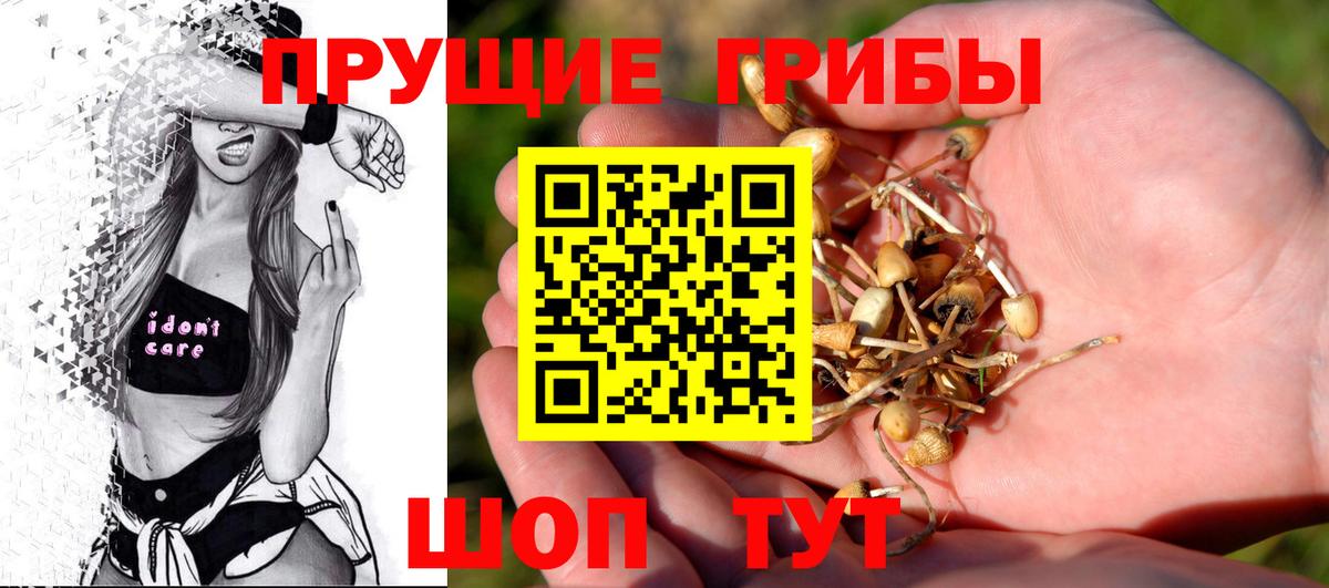 Псилоцибиновые грибы Cubensis Белая Калитва